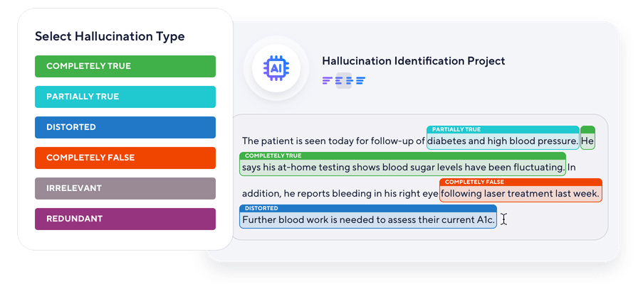 Hallucination Identification graphic
